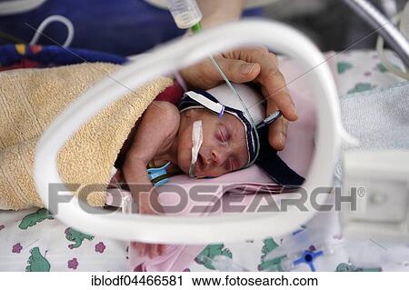 Incubator with newborn baby, Altona Children's Hospital, Hamburg, Germany, Europe View Large Photo Image Stock Image - Incubator with newborn baby, Altona Children's Hospital, Hamburg, Germany, Europe. Fotosearch