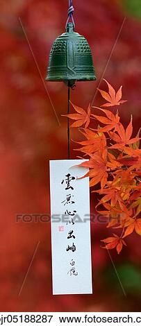 Japanese wind bell and maple leaves in autumn colours, wind bells, furin, temple bell, wind chime, acer palmatum, paper strips View Large Photo Image Stock Photo - Japanese wind bell and maple leaves in autumn colours, wind bells, furin, temple bell, wind chime, acer palmatum, paper strips. Fotosearch