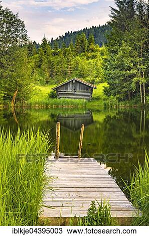 jetty, pier in forest, Wagenbrüchsee, Lake Wagenbrüch, Werdenfelser, Upper Bavaria, Bavaria, Germany, Europe View Large Photo Image Stock Image - jetty, pier in forest, Wagenbrüchsee, Lake Wagenbrüch, Werdenfelser, Upper Bavaria, Bavaria, Germany, Europe. Fotosearch