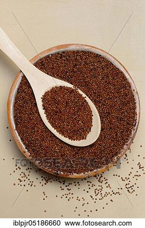 Kaniwa in bowl with spoon, Baby Quinoa, Chenopodium pallidicaule View Large Photo Image Stock Image - Kaniwa in bowl with spoon, Baby Quinoa, Chenopodium pallidicaule. Fotosearch