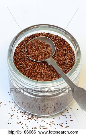 Kaniwa in glass with spoon, Baby Quinoa, Chenopodium pallidicaule View Large Photo Image Stock Photograph - Kaniwa in glass with spoon, Baby Quinoa, Chenopodium pallidicaule. Fotosearch