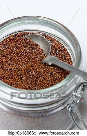 Stock Photography - Kaniwa in glass with spoon, Baby Quinoa, Chenopodium pallidicaule. Fotosearch