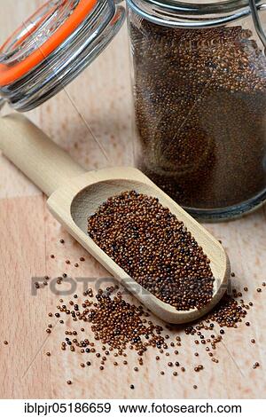 Stock Photo - Kaniwa in shovel, Baby Quinoa, Chenopodium pallidicaule. Fotosearch