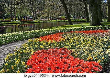 Keukenhof Gardens, Lisse, The Netherlands, Europe View Large Photo Image Picture - Keukenhof Gardens, Lisse, The Netherlands, Europe. Fotosearch