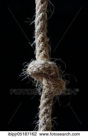 Knots in jute rope, intertwined, knotted View Large Photo Image Stock Image - Knots in jute rope, intertwined, knotted. Fotosearch