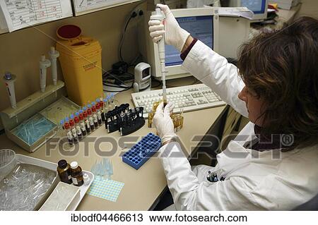 Lab technician splitting the blood samples for various analyzers, Hamburg, Germany, Europe View Large Photo Image Stock Image - Lab technician splitting the blood samples for various analyzers, Hamburg, Germany, Europe. Fotosearch