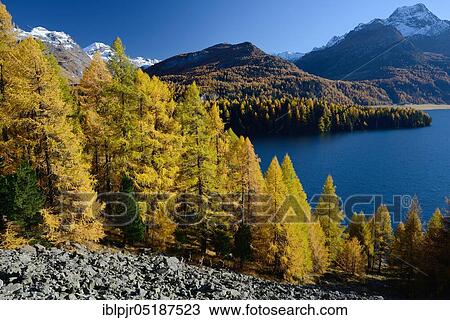 Lake Sils and Piz da la Margna, Upper Engadine, Engadine, Switzerland, Europe View Large Photo Image Stock Image - Lake Sils and Piz da la Margna, Upper Engadine, Engadine, Switzerland, Europe. Fotosearch