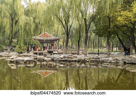 Lake with pavilion, Ritan Park, Beijing, China, Asia View Large Photo Image Stock Image - Lake with pavilion, Ritan Park, Beijing, China, Asia. Fotosearch