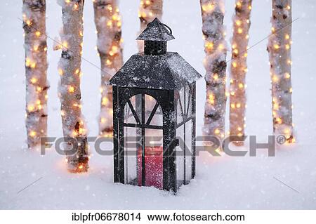 Lantern with illuminated birch logs outdoors View Large Photo Image Picture - Lantern with illuminated birch logs outdoors. Fotosearch