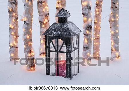 Lantern with illuminated birch logs outdoors View Large Photo Image Stock Image - Lantern with illuminated birch logs outdoors. Fotosearch