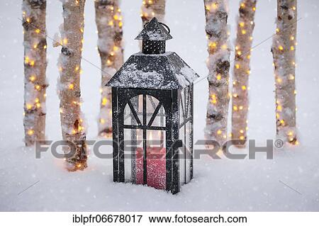Lantern with illuminated birch logs outdoors View Large Photo Image Stock Photo - Lantern with illuminated birch logs outdoors. Fotosearch