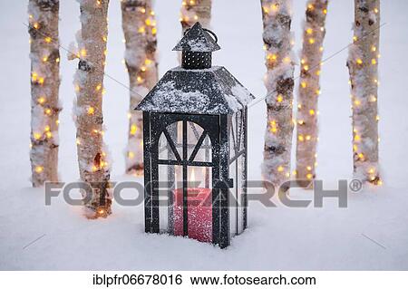 Stock Photograph - Lantern with illuminated birch logs outdoors. Fotosearch