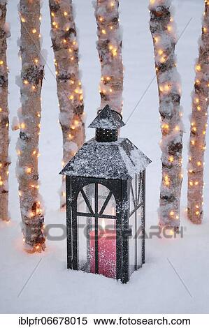 Lantern with illuminated birch logs outdoors View Large Photo Image Stock Photography - Lantern with illuminated birch logs outdoors. Fotosearch