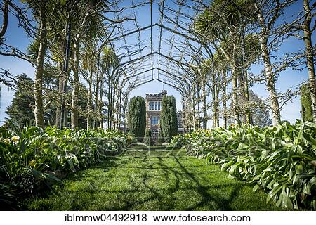 Larnach Castle, park and castle, Dunedin, Otago Peninsula, Southland, New Zealand, Oceania View Large Photo Image Stock Photo - Larnach Castle, park and castle, Dunedin, Otago Peninsula, Southland, New Zealand, Oceania. Fotosearch
