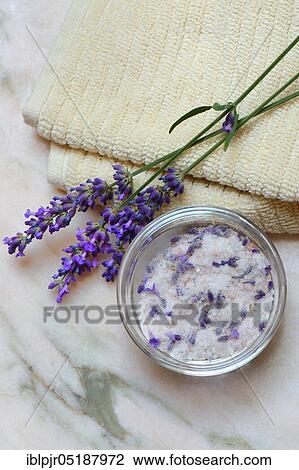 Lavender salt, sea salt with lavender flowers in a bowl, bath additive View Large Photo Image Stock Image - Lavender salt, sea salt with lavender flowers in a bowl, bath additive. Fotosearch