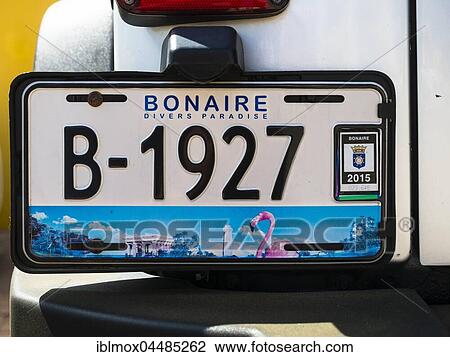 License plate of a car, Kralendijk, Bonaire Island, Bonaire, Netherlands Antilles View Large Photo Image Stock Image - License plate of a car, Kralendijk, Bonaire Island, Bonaire, Netherlands Antilles. Fotosearch