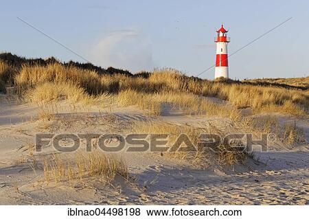 Lighthouse List-West, Ellenbogen, Sylt, North Frisia, Schleswig-Holstein, Germany, Europe View Large Photo Image Stock Photo - Lighthouse List-West, Ellenbogen, Sylt, North Frisia, Schleswig-Holstein, Germany, Europe. Fotosearch
