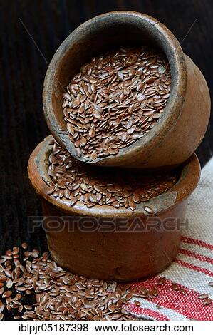 Stock Photo - Linseed in ceramic pots, Common flax ( Linum usitatissimum). Fotosearch