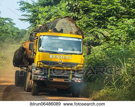 Stock Photo - Logging truck in the jungle, Yokadouma, Eastern Cameroon. Fotosearch