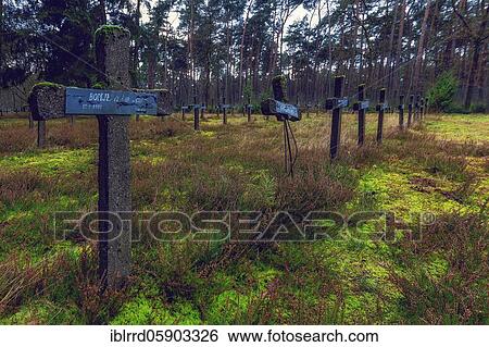 Lost place, crosses on graves, abandoned cemetery, The Cemetery of the Mad, Lanaken, Belgium, Europe View Large Photo Image Stock Photograph - Lost place, crosses on graves, abandoned cemetery, The Cemetery of the Mad, Lanaken, Belgium, Europe. Fotosearch