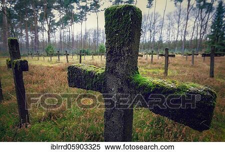 Stock Photography - Lost place, crosses on graves, abandoned cemetery, The Cemetery of the Mad, Lanaken, Belgium, Europe. Fotosearch