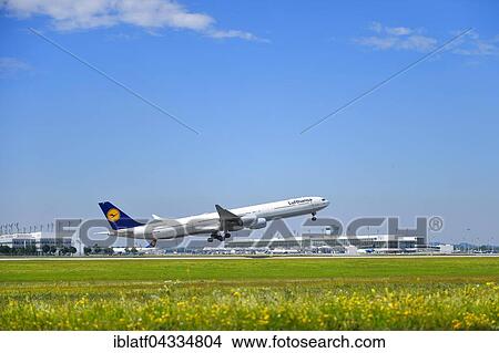 Lufthansa, Airbus, A 340-600, Take off, Terminal 2, MUC, Airport Munich, Bavaria, Germany, Europe View Large Photo Image Picture - Lufthansa, Airbus, A 340-600, Take off, Terminal 2, MUC, Airport Munich, Bavaria, Germany, Europe. Fotosearch