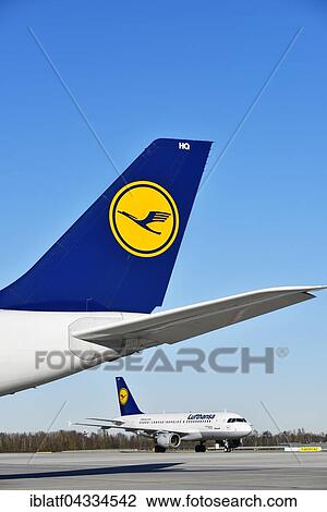 Lufthansa tail from the Airbus A340, in back Lufthansa, Airbus, A 319-100, Munich Airport, Upper Bavaria, Bavaria, Germany, Europe View Large Photo Image Stock Image - Lufthansa tail from the Airbus A340, in back Lufthansa, Airbus, A 319-100, Munich Airport, Upper Bavaria, Bavaria, Germany, Europe. Fotosearch