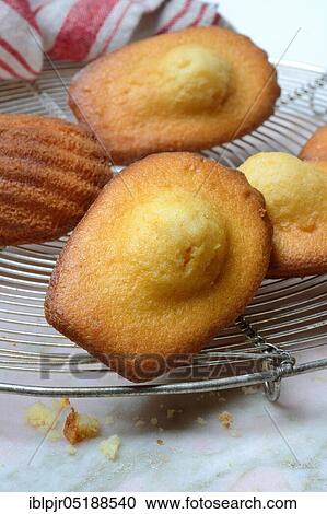 Madeleines on cake grid View Large Photo Image Stock Image - Madeleines on cake grid. Fotosearch
