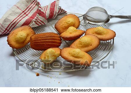 Stock Image - Madeleines on cake grid. Fotosearch