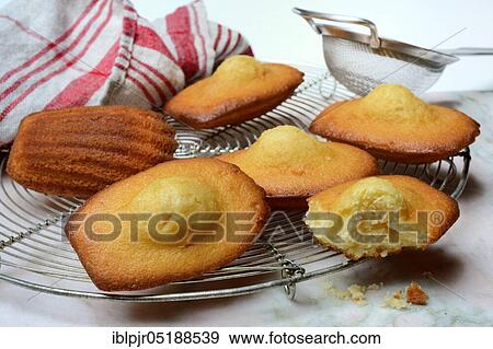 Stock Photo - Madeleines on cake grid. Fotosearch