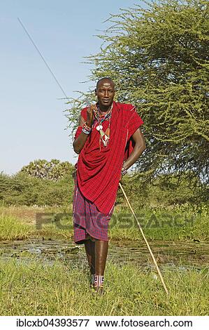 Stock Photo - Male Maasai in traditional Shuka clothing with shepherd's crook, Tsavo West National Park, Taita-Taveta County, Kenya, Africa. Fotosearch