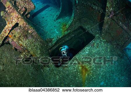 Male scuba diver inside the wreck of the Giannis D, Red Sea, Egypt, Africa View Large Photo Image Stock Image - Male scuba diver inside the wreck of the Giannis D, Red Sea, Egypt, Africa. Fotosearch