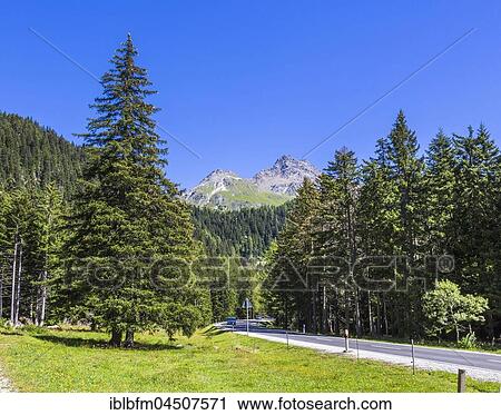 Maloja Pass, Upper Engadine, Engadine, Maloja region, Canton of Grisons, Switzerland, Europe View Large Photo Image Stock Image - Maloja Pass, Upper Engadine, Engadine, Maloja region, Canton of Grisons, Switzerland, Europe. Fotosearch