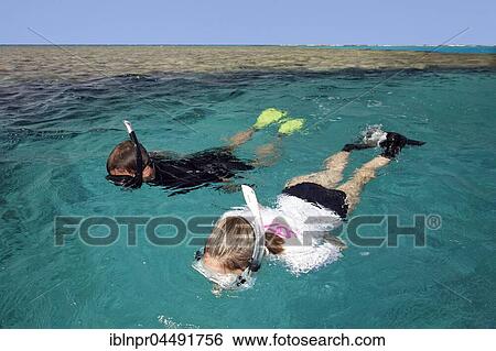 Man, Woman snorkeling, Coral Reef, Red Sea, Egypt, Africa View Large Photo Image Stock Photograph - Man, Woman snorkeling, Coral Reef, Red Sea, Egypt, Africa. Fotosearch
