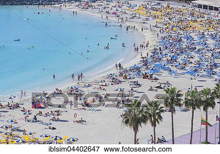 Many people bathing, Playa de los Amadores, Puerto Rico, Gran Canaria, Canary Islands, Spain, North America View Large Photo Image Stock Photo - Many people bathing, Playa de los Amadores, Puerto Rico, Gran Canaria, Canary Islands, Spain, North America. Fotosearch