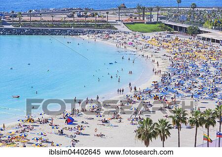 Many people bathing, Playa de los Amadores, Puerto Rico, Gran Canaria, Canary Islands, Spain, North America View Large Photo Image Stock Photography - Many people bathing, Playa de los Amadores, Puerto Rico, Gran Canaria, Canary Islands, Spain, North America. Fotosearch