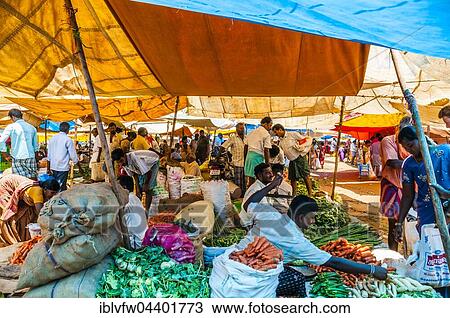 Market with vegetables, Chinnamanur, Tamil Nadu, India, Asia View Large Photo Image Stock Image - Market with vegetables, Chinnamanur, Tamil Nadu, India, Asia. Fotosearch