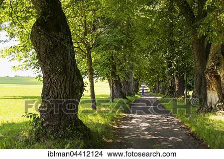 Marktoberdorf, Allgäu, Swabia, Bavaria, Germany, Europe View Large Photo Image Picture - Marktoberdorf, Allgäu, Swabia, Bavaria, Germany, Europe. Fotosearch