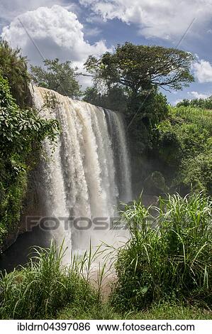 Metche Waterfall, Bafoussam, West Region, Cameroon, Africa View Large Photo Image Stock Photograph - Metche Waterfall, Bafoussam, West Region, Cameroon, Africa. Fotosearch