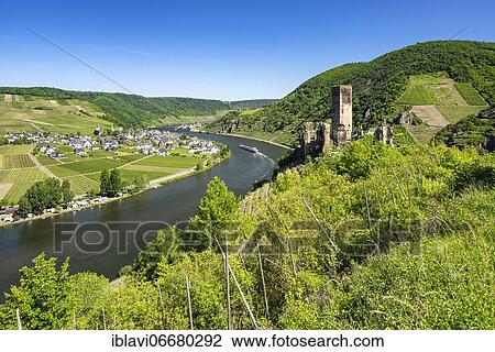 Stock Image - Metternich castle ruin on the Moselle river surrounded by vineyards, Beilstein, Rhineland-Palatinate, Germany, Europe. Fotosearch