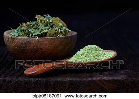 Moringa leaves in bowl and moringa powder in spoon View Large Photo Image Stock Image - Moringa leaves in bowl and moringa powder in spoon. Fotosearch