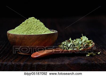 Moringa leaves in spoon and moringa powder in bowl View Large Photo Image Stock Image - Moringa leaves in spoon and moringa powder in bowl. Fotosearch