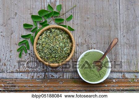 Picture - Moringa, Moringa powder in bowl with wooden spoon, dried and fresh Moringa leaves, Moringa powder, Moringa oleifera. Fotosearch