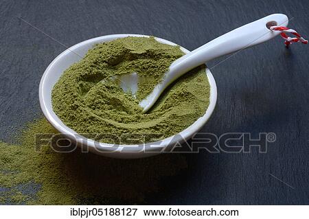 Moringa, Moringa powder in shell, Moringa powder, Moringa oleifera View Large Photo Image Stock Photo - Moringa, Moringa powder in shell, Moringa powder, Moringa oleifera. Fotosearch