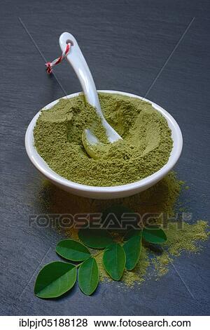 Moringa, Moringa powder in shell, Moringa powder, Moringa leaves, Moringa oleifera View Large Photo Image Stock Photo - Moringa, Moringa powder in shell, Moringa powder, Moringa leaves, Moringa oleifera. Fotosearch