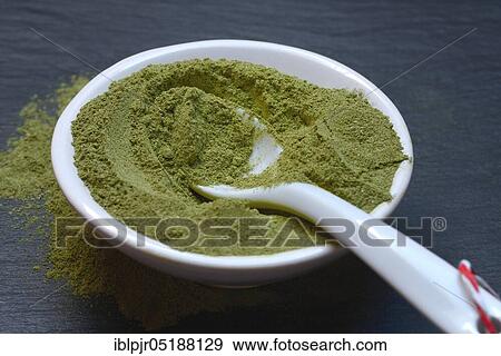 Stock Photo - Moringa, Moringa powder in shell, Moringa powder, Moringa oleifera. Fotosearch