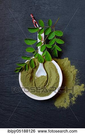 Moringa, Moringa powder in shell, Moringa powder, Moringa leaves, Moringa oleifera View Large Photo Image Stock Photograph - Moringa, Moringa powder in shell, Moringa powder, Moringa leaves, Moringa oleifera. Fotosearch