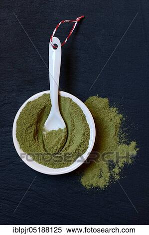 Moringa, Moringa powder in shell, Moringa powder, Moringa oleifera View Large Photo Image Stock Photography - Moringa, Moringa powder in shell, Moringa powder, Moringa oleifera. Fotosearch