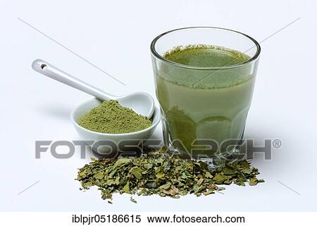 Stock Photography - Moringa powder in bowl and in glass of water as well as Moringa tea, Moringa tea. Fotosearch