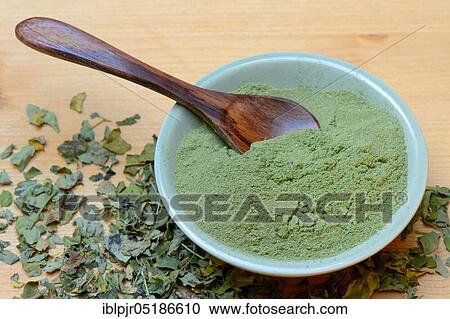 Moringa powder in bowl and moringa leaves, moringa tea View Large Photo Image Stock Image - Moringa powder in bowl and moringa leaves, moringa tea. Fotosearch